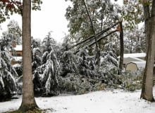 Połamane gałęzie to wynik obfitych opadów mokrego ciężkiego śniegu i silnego wiatru. Połamane gałęzie to wynik obfitych opadów mokrego ciężkiego śniegu i silnego wiatru.
