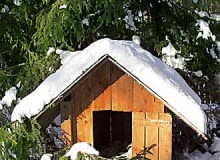 Ocieplamy budy psów i kotów, aby nasi czworonożni przyjaciele bez uszczerbku przetrwali zimne noce. 17.02.2003 KAMIENCZYK STARE LAKI ZIMA SNIEG BUDA DLA PSA FOT. PAWEL SLOMCZYNSKI / AGENCJA GAZETA