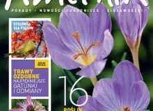 Okładka miesięcznika Kwietnik 11/2011