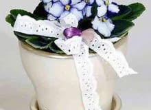 Skromny fiołek afrykański (<i>Saintpaulia</i>) nabierze odświętnego wyrazu, jeśli wstawimy go do eleganckiej doniczki. Dodatkowo możemy ozdobić go dekoracyjną, haftowaną wstążką.