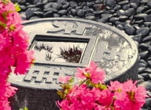 W ogrodach gejsz i samurajów wskazany jest umiar. Zamiast stawu wystarczy więc taki wodny motyw ONE TIME USE ONLY DO JEDNORAZOWEGO UZYCIA