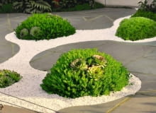 Sposób na monotonną posadzkę - strumyk z białego żwiru i zatopione w nim zielone wyspy z rojników oraz rozchodników