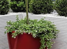 Dobrej jakości donice balkonowe mają piękny design i wiele dodatkowych funkcji np automatyczne nawadnianie, kółka ułatwiające przemieszczanie, pogrubione ścianki chroniące przed przemarzaniem Dobrej jakości donice balkonowe mają piękny design i wiele dodatkowych funkcji np automatyczne nawadnianie, kółka ułatwiające przemieszczanie, pogrubione ścianki chroniące przed przemarzaniem