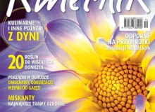 Kwietnik - numer październikowy Kwietnik - numer październikowy