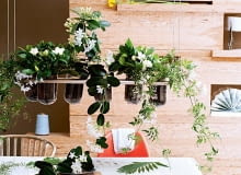 Stefanotis, gardenia i jaśmin na wiszącym stelażu towarzysząc domownikom w posiłkach, napełniają jadalnię cudownym zapachem.