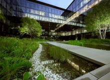 Golden Star Group stawia na zielone środowisko pracy