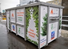 Zbiór choinek na energie Zbiór choinek na energie