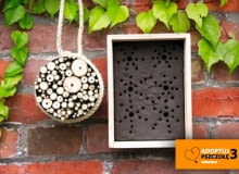 Gniazda dla dzikich pszczół Fot. Flora Press