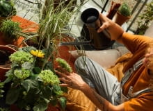 Nowa linia produktów do pielęgnacji roślin doniczkowych Urban Plant Care