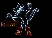 Neonowy kot w Warszawie ze zbiorów Muzeum Neonów. Neonowy kot w Warszawie, ze zbiorów Muzeum Neonów