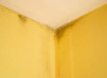 Przy sprawnej wentylacji wilgotność powietrza wynosi 30-65%. Jeśli wzrośnie powyżej 70%, powstają warunki sprzyjające zagrzybieniu ścian 02.04.2004 PRZYTOCZNA PLESN GRZYB ZLA WENTYLACJA FOT. KAROLINA SIKORSKA / AGENCJA GAZETA dla czasopisma " Ladny Dom " PUBLIKACJA LADNY DOM NR 4 (78) - 4.2005