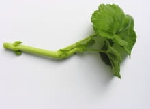 Rozmnarzanie pelargonii 13.07.2004 WARSZAWA OGROD PRYWATNY SADZONKI ROSLIN BALKONOWYCH PRZYGOTOWANIE SADZONEK ROSLINY BALKONOWE PELARGONIA PELARGONIUM ROZMNAZANIE WEGETATYWNE FOT. PAWEL SLOMCZYNSKI / AGENCJA GAZETA PUBLIKACJA KWIETNIK NR 9 (117) - 9.2004 SLOWA KLUCZOWE: OGRODNICTWO ROSLINY ZDJĘCIE DO WKŁADKI: PUBLIKACJA KWIETNIK NR 9 (117) - CZASOPISMA