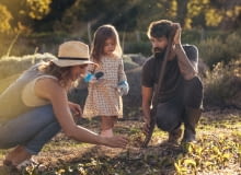 Wiosenne porządki: jak przygotować dom i ogród na nowy sezon?