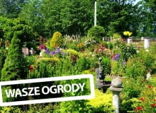 Ogród Państwa Katarzyny i Artura Klara Ogród Państwa Katarzyny i Artura Klara