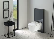 AquaClean Sela Monolith Lava AquaClean Sela Monolith Lava