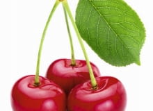 Najprostszym sposobem na odstraszenie ptaków od czereśni są szklane butelki lub metalowe puszki zawieszone w koronie drzewa, tak aby obijały się o siebie hałasując. Najprostszym sposobem na odstraszenie ptaków od czereśni są szklane butelki lub metalowe puszki zawieszone w koronie drzewa, tak aby obijały się o siebie hałasując.