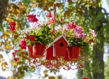 Pelargoniowy żyrandol z domkiem dla ptaków i owadów Pelargoniowy żyrandol z domkiem dla ptaków i owadów