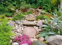 Na skalniaku mienią się kolorami rojniki i opuncja ogrodowa. Na skalniaku mienią się kolorami rojniki i opuncja ogrodowa.