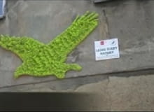 Projekt Zielone Ślady Natury