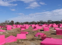Pink Project Pink Project