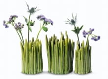 <B>Rozwijają się po cichu, niepostrzeżenie. I nagle się okazuje, że wnętrze jest całe w kwiatach! Nie bądźmy więc zaskoczeni, gdy po powrocie do domu przyjdzie nam zawiesić płaszcz na wyjątkowo wyrośniętym krokusie.</B> <BR />Wazony, kamionka, od 159 zł, Fabryka Form.