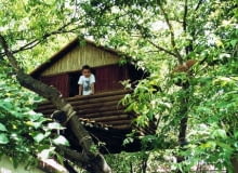 Dzieci chętnie spędzają tutaj długie godziny i nie nudzą się nawet w czasie deszczu Dzieci chętnie spędzają tutaj długie godziny i nie nudzą się nawet w czasie deszczu