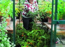 Uwielbiam uprawiać kolorowe papryczki chili - podziwiam ich owoce. Uwielbiam uprawiać kolorowe papryczki chili - podziwiam ich owoce.