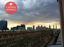 w miejskiej dżungli, ciekawe miejsca