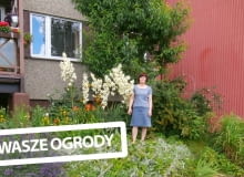 Ogród przy balkonie Ogród przy balkonie