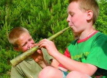 Koncert na trąbę z... kory Koncert na trąbę z... kory