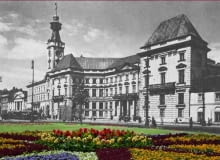 Warszawa w kwiatach Warszawa w kwiatach