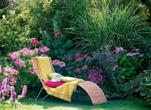 Fargesia murieliae (Schirmbambus) Miscanthus Zebrinus Strictus (Stachelschweingras) Hydrangea (Hortensie), Alcea (Stockrose) Eryngium (Edeldistel), Korbliege