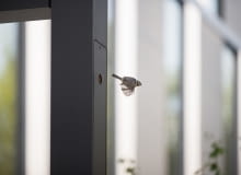 'Lampa w ciąży' - w jednej z lamp stojącej przy biurowcu Za bramką w Poznaniu zalęgły się sikorki