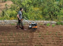Jesienne przekopywanie gleby Jesienne przekopywanie gleby