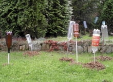 Ogrody SLOWA KLUCZOWE: OGRODNICTWO ZWIERZETA SZKODNIKI ZDJĘCIE DO WKŁADKI: PUBLIKACJA OGRODY NUMER SPECJALNY 1/2006 - TRAWNIK PIEKNY I ZADBANY - CZASOPISMA