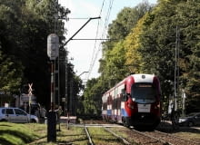 Okolice stacji w Podkowie Leśnej. Jeśli kolejarze zrealizowaliby swoje plany, wszystkie widoczne na zdjęciu drzewa zostałyby wycięte 09.09.2015 Podkowa Lesna . Trasa Warszawskiej Kolei Dojazdowej . Fot. Adam Stepien / Agencja Gazeta SLOWA KLUCZOWE: kolei wkd podkowa lesna torowisko tory drzewa