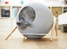 Domki dla kotów Meyou Domki dla kotów Meyou, koty, zwierzęta, domki dla kotów