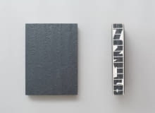 Książka 'Dziennik podróży' Bolesława Stelmacha