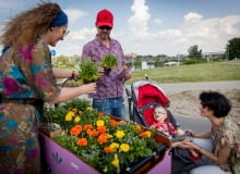 Rowerowe Rozdanie Roślin