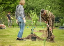 Sadzenie drzew Sadzenie drzew