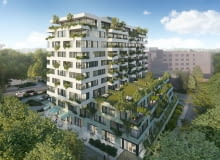 Damrota Garden w Katowicach Damrota Garden w Katowicach