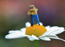 Magazyn Magnolia Magazyn Magnolia