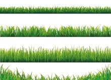 Od góry: Trawnik sportowy (1-2,5 cm) jest gęsty i elastyczny, bardzo szybko odrasta, ale musi być często koszony, podlewany i nawożony. Ozdobny (3-3,5 cm) - krótko przycinany zagęszcza się i pięknie wygląda, ale jest delikatny. Deptany słabo się regeneruje. Rekreacyjny (3-4) jest mniej urodziwy niż ozdobny, ale też mniej kłopotliwy niż sportowy. Można po nim chodzić. Parkowy (4-5 cm) - wolno rosnące kępki traw (cięte co miesiąc), są do podziwiania z daleka, a nie do częstych spacerów. Typu łąka (5-7 cm) to malownicza mieszanka traw i kwiatów, oaza dzikich stworzeń. Kosi się ją raz lub dwa razy w roku. Od góry: Trawnik sportowy (1-2,5 cm) jest gęsty i elastyczny, bardzo szybko odrasta, ale musi być często koszony, podlewany i nawożony. Ozdobny (3-3,5 cm) - krótko przycinany zagęszcza się i pięknie wygląda, ale jest delikatny. Deptany słabo się regeneruje. Rekreacyjny (3-4) jest mniej urodziwy niż ozdobny, ale też mniej kłopotliwy niż sportowy. Można po nim chodzić. Parkowy (4-5 cm) - wolno rosnące kępki traw (cięte co miesiąc), są do podziwiania z daleka, a nie do częstych spacerów. Typu łąka (5-7 cm) to malownicza mieszanka traw i kwiatów, oaza dzikich stworzeń. Kosi się ją raz lub dwa razy w roku.