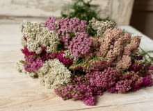 Bukiety z własnego ogrodu