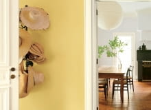 Świat farb - malujemy ściany i sufity Świat farb - malujemy ściany i sufity