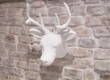 Poroże: modna dekoracja na ścianę poroże