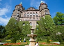 Wystawa kwiatów Wystawa kwiatów