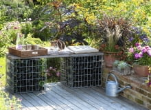 Selbstgebaute Bank aus Gabionen gefuellt mit leeren Flaschen , Toepfe mit Dahlia ( Dahlien ), Calibrachoa ( Zaubergloeckchen ), Graesern und Echeveria auf Mauer, Zink-Giesskanne, Katze liegt auf Kissen 61053230, 61053232 SLOWA KLUCZOWE: Sp tsommer draussen quer TERRASSE Topf msgnp12 000 Holzdeck SITZPLATZ BALKONBLUMEN K<BELPFLANZEN Tier