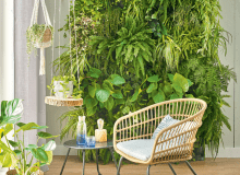 Zielona ściana Zielona ściana