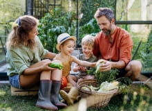 Zioła, kiełki i kolorowe warzywa